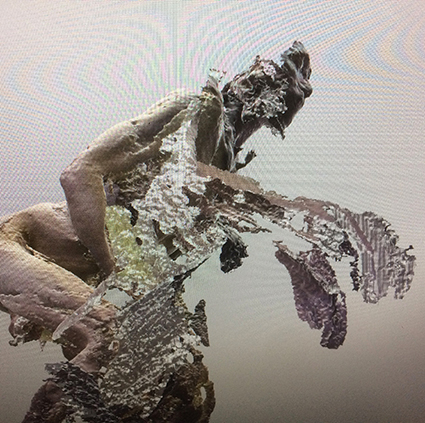 Interrupted 3D scan by artist Paul Coombs